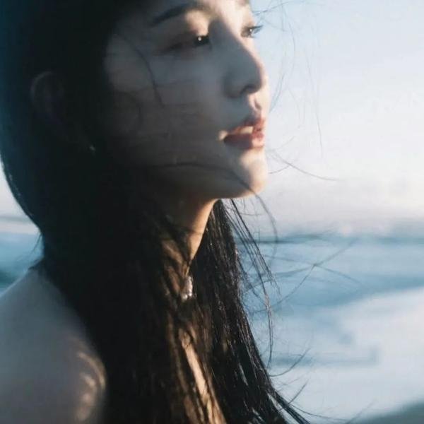 六扇门之御前盗圣